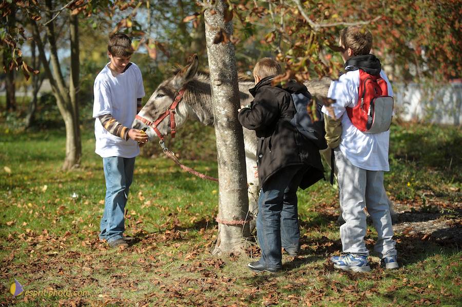 Nom de l'image : D30083664_1_(c)Norbert-JUNG — Description :